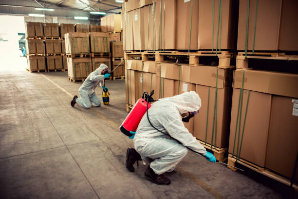 Best Mosquito Control Services  in Brigantine, NJ