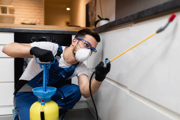 Best Ant Control Services  in Brigantine, NJ