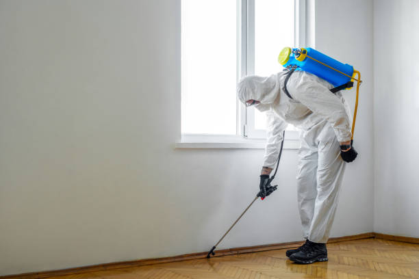 Best Commercial Pest Control Services  in Brigantine, NJ