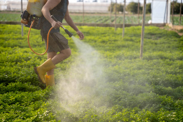 Best Wasp Removal Services  in Brigantine, NJ