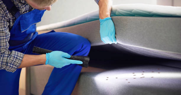 Best Affordable Exterminators  in Brigantine, NJ