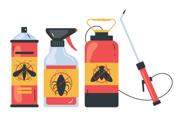 Best Wasp Removal Services  in Brigantine, NJ