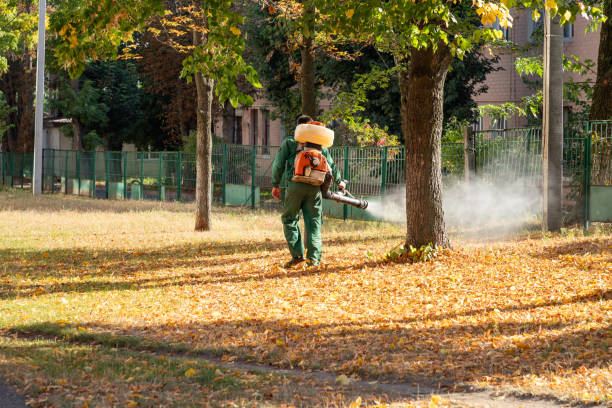 Best Insect Control  in Brigantine, NJ
