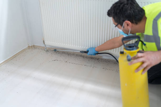 Best Pest Control for Restaurants  in Brigantine, NJ