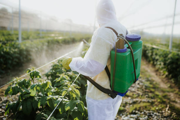 Best Emergency Pest Control  in Brigantine, NJ